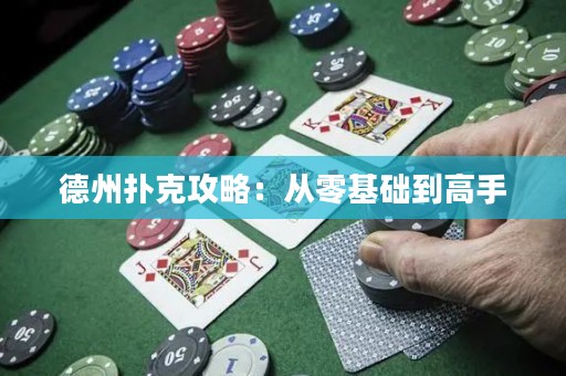 德州撲克攻略：從零基礎(chǔ)到高手