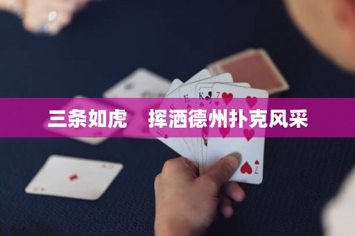 三條如虎　揮灑德州撲克風(fēng)采