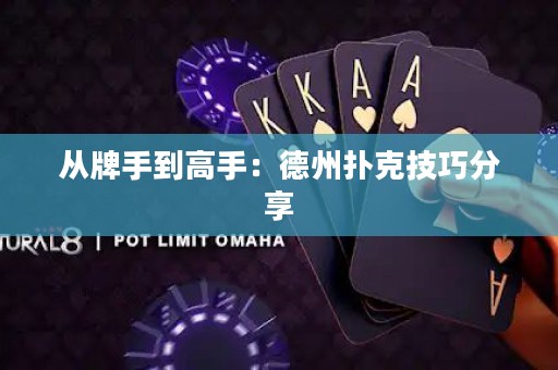 從牌手到高手：德州撲克技巧分享