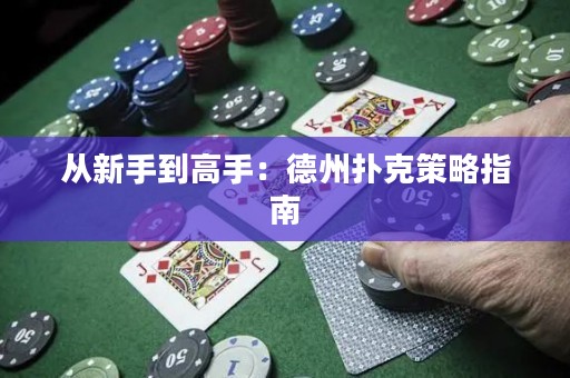 從新手到高手：德州撲克策略指南