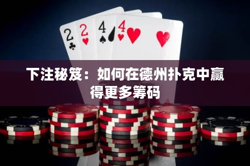 下注秘笈：如何在德州撲克中贏得更多籌碼