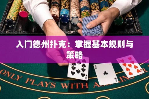 入門德州撲克：掌握基本規(guī)則與策略